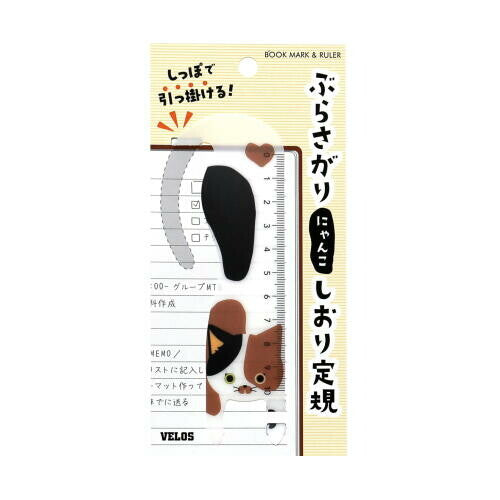 Ruler of white cat with black and brown pattern hung over a back card with japanese text on top.