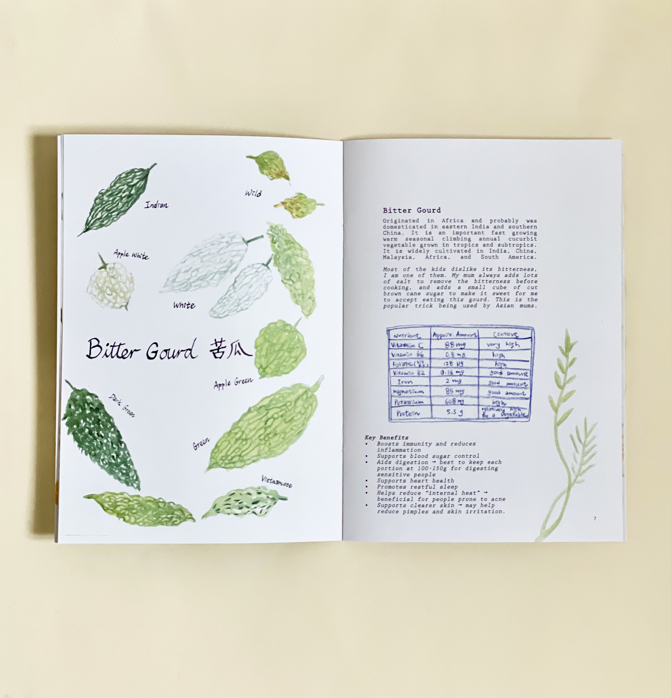 Opened book with illustrations of bitter gourds on left and text on right, set against light yellow background.